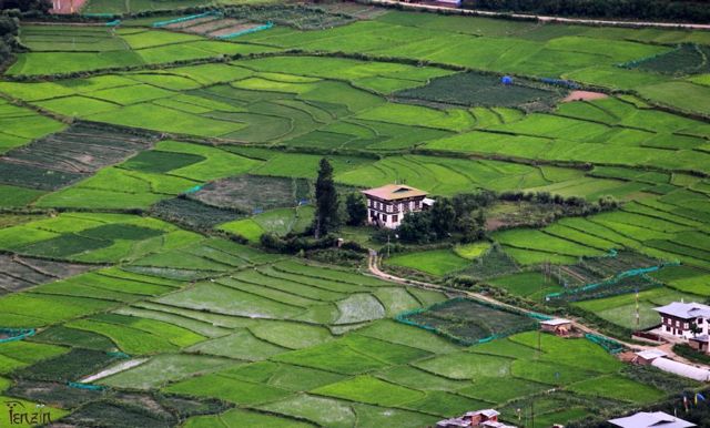 Paro valley countryside