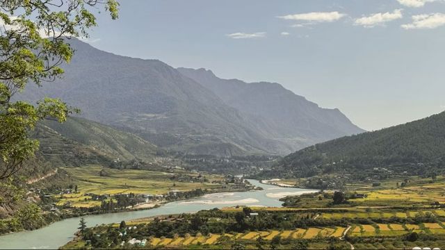 The green Punakha valley