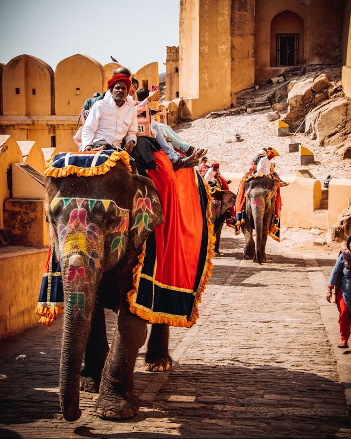 Decorated elephant at Amber Fort