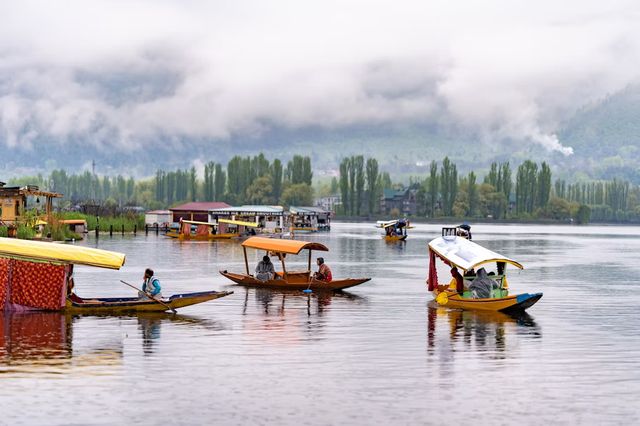 Shikaras on Dal Lake