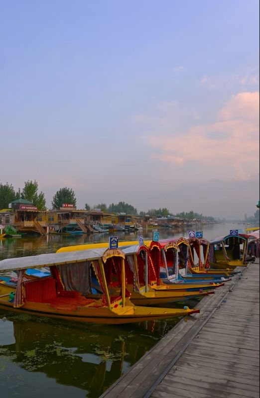 Shikaras at dusk