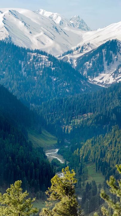 Snow peaks above a pine valley