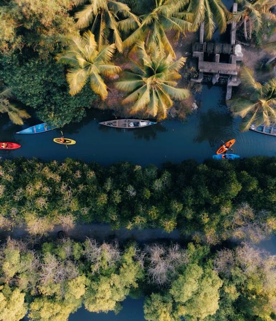 Kerala backwaters