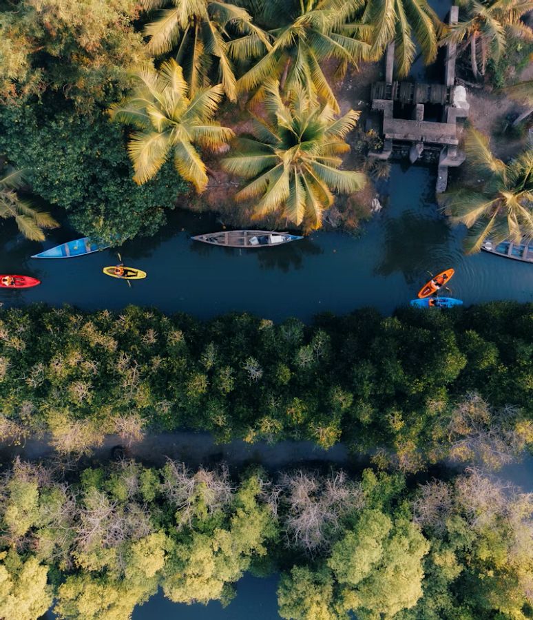 Kayaking on the backwaters