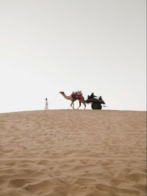 Camel safari in the Thar Desert