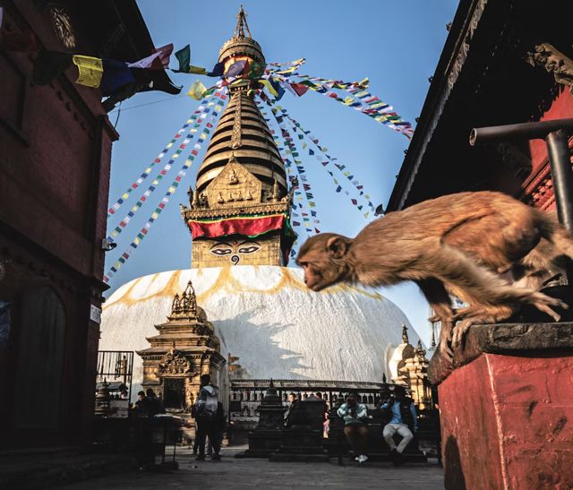 A resident of Swayambhunath