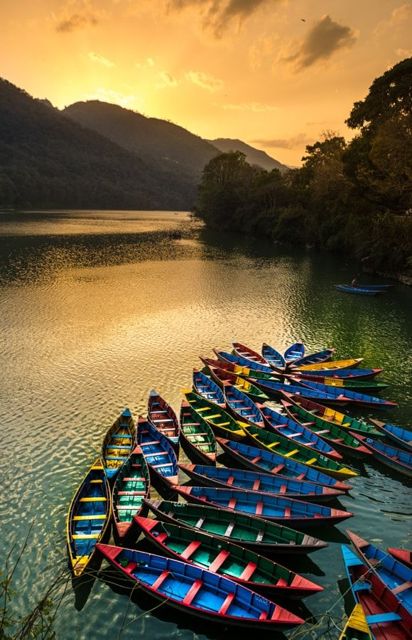Sunset boats on Phewa Lake