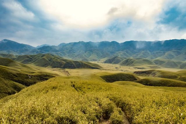Dzukou Valley, Nagaland