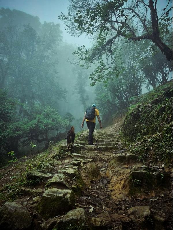 Forest trail to Bakhim above Yuksom